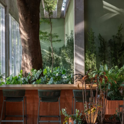 Trio Garden
